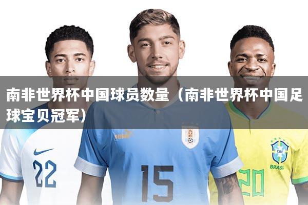 南非世界杯中国球员数量（南非世界杯中国足球宝贝冠军）