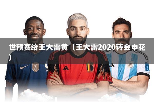 世预赛给王大雷黄（王大雷2020转会申花）