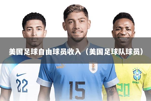 美国足球自由球员收入（美国足球队球员）